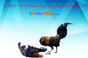 KUWIN - Đá Gà Khmer Trực Tiếp Hàng Đầu Hiện Nay?