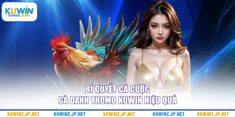 Cá Cược Gà Danh Thomo Kuwin - Sảnh Đá Gà Trực Tuyến Uy Tín 3 Bí quyết cá cược gà danh Thomo Kuwin hiệu quả