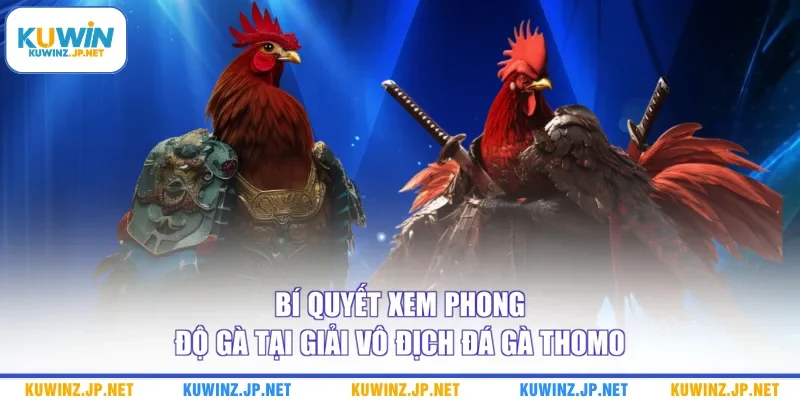Giải Vô Địch Đá Gà Thomo - Top 3 Hình Thức Đặt Cược Phổ Biến 3 Bí quyết xem phong độ gà tại giải vô địch đá gà Thomo