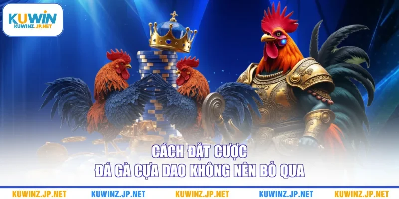 Đá Gà Cựa Dao - Những Mẹo Đặt Cược Hữu Ích Từ Chuyên Gia 3 Cách đặt cược đá gà cựa dao không nên bỏ qua