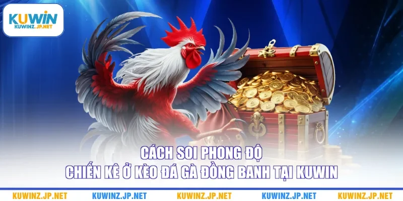 Cách Nhận Định Kèo Đá Gà Đồng Banh Qua Tương Quan Chiến Kê 2 Cách soi phong độ chiến kê ở kèo đá gà đồng banh tại Kuwin