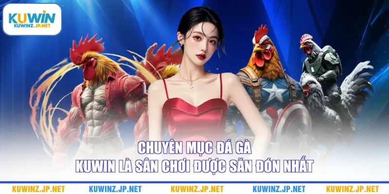 Chuyên mục đá gà Kuwin là sân chơi được săn đón nhất