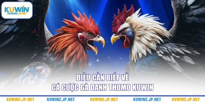 Cá Cược Gà Danh Thomo Kuwin - Sảnh Đá Gà Trực Tuyến Uy Tín 1 Điều cần biết về cá cược gà danh Thomo Kuwin