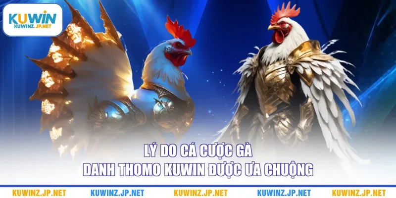 Cá Cược Gà Danh Thomo Kuwin - Sảnh Đá Gà Trực Tuyến Uy Tín 2 Lý do cá cược gà danh Thomo Kuwin được ưa chuộng