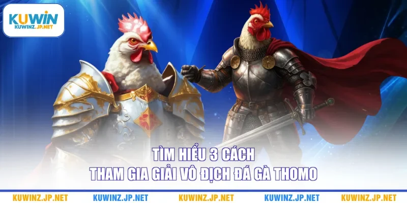 Giải Vô Địch Đá Gà Thomo - Top 3 Hình Thức Đặt Cược Phổ Biến 2 Tìm hiểu 3 cách tham gia giải vô địch đá gà Thomo